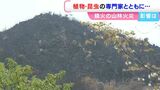 岡山市南区で発生した山林火災 生態系への影響は?専門家「木が枯れ根っこが腐ってしまうと落石が起こりやすくなる」|TBS NEWS DIG