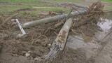 【大雨】残る爪痕 はん濫した荒瀬川周辺は大木が流れつき、電柱が折れた状態の中で復旧作業が行われる(山形・酒田市) | 山形のニュース│TUYテレビユー山形