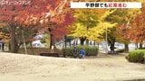 日中の寒暖差大きく平野部の紅葉が見事に 秋を彩る公園の街路樹 富山|TBS NEWS DIG