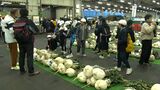 高値は重さ8キロ3000円 小学生が育てた桜島大根が競りに 鹿児島 | 鹿児島のニュース|MBC NEWS|南日本放送