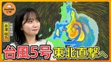 【台風5号 東北に上陸へ】お盆休みを直撃 １日で一か月分以上の雨量予想･･･河川の氾濫・洪水に厳重警戒を（2024年8月11日）【WeATHER L!VE】|TBS NEWS DIG