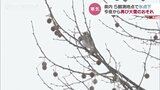 27日夜から再び大雪のおそれ…26日は県内5観測地点で氷点下 スタック、スリップ事故多発 富山 | 富山のニュース|天気・防災|チューリップテレビ