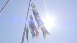 「かっこいい」こいのぼり大空へ 海王丸パークに花の迷路も登場 園児大喜び 富山・射水 | 富山のニュース|天気・防災|チューリップテレビ