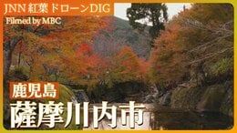 師走の夜を彩る紅葉ライトアップ【JNN 紅葉ドローンDIG 2024】|TBS NEWS DIG