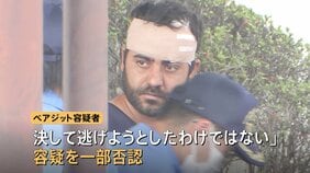 2歳男児意識不明の東北自動車道･追突事故　立ち去っていた運転手のトルコ国籍男を無免許運転などの疑いで逮捕　容疑を一部否認|TBS NEWS DIG