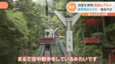 都心から1時間 名物とろろ料理 幻想的なホタルの光 で非日常の世界を堪能 初夏の高尾山 森林浴グルメ Tbs News Dig フォトギャラリー