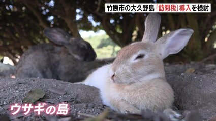 img_bd18aa85d1b8063d1f3e59e74e