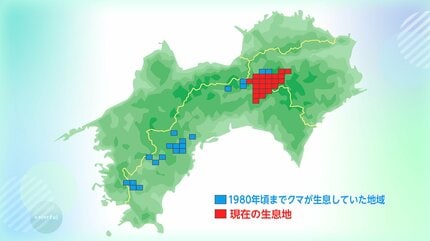 クマは四国にも？一部の山に20～30頭ほどが生息か 本州と違い「絶滅の