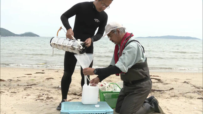 「水質検査をしっかりやってますので、安心して楽しんで」海開き前に海水浴場の水質調査　水質は6月中旬ごろに公表　福岡市|TBS NEWS DIG