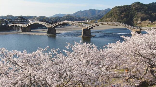 世界文化遺産登録を目指す“錦帯橋”　修繕を検討する専門部会始まる　山口・岩国市|TBS NEWS DIG