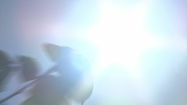 熱中症特別警戒アラート→オンライン授業か臨時休業を 香川県教委が県立学校に通知 |TBS NEWS DIG