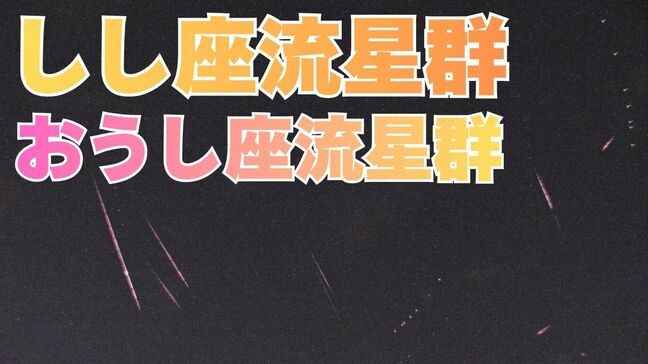 しし座流星群とおうし座流星群が夜空に☆ 18日未明がピークの予想 極大の時間帯に月が沈み「絶好の条件」【2025】|TBS NEWS DIG