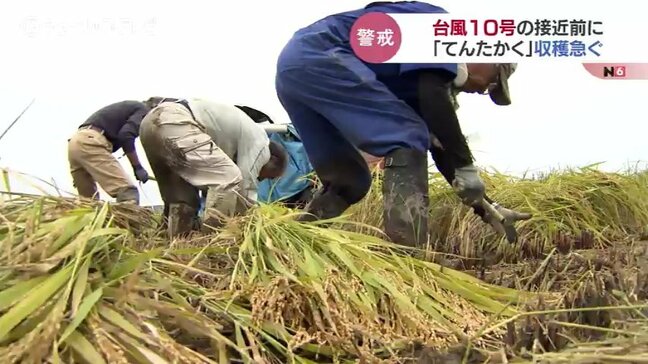 富山県内でも台風10号への備え進む　早場米「てんたかく」は収穫急ピッチ「おわら風の盆」も風雨の対策|TBS NEWS DIG