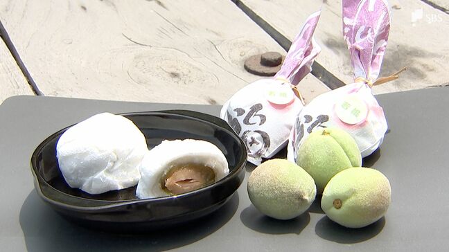 「100個あったら95個は捨てる」桃の実を使って大福に 生産者と和菓子店がタッグ 5月22日から販売＝静岡・富士市|TBS NEWS DIG