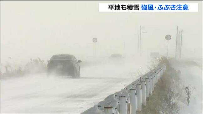 平地も積雪 大崎市古川11センチ 仙台2センチ 東部は暴風雪のおそれも 交通機関に影響 宮城|TBS NEWS DIG