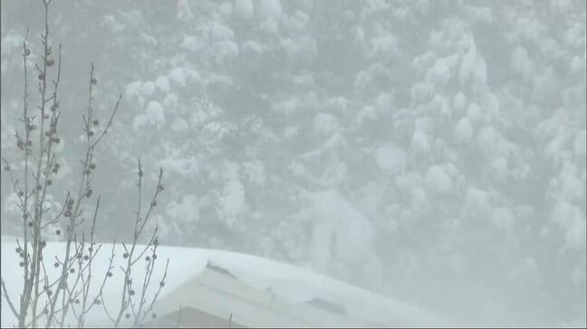 岡山県北に大雪警報　引き続き大雪に警戒を　県南部や香川県でも雪の降り方に注意を|TBS NEWS DIG