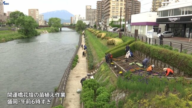 北上川に架かる開運橋の花壇に彩り　ボランティアら花苗1600株を植栽　チャグチャグ馬コ前に観光客迎える準備　盛岡市　|TBS NEWS DIG