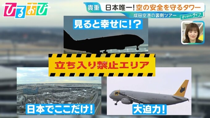 立ち入り禁止エリアにも入れる！今が狙い目「裏側ツアー」成田空港や国立競技場で激レア体験【ひるおび】|TBS NEWS DIG