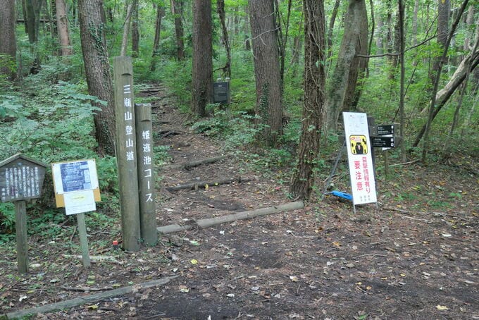 体長約160センチのクマらしき動物が立っていた　シルバーウイークを前に登山道でツキノワグマ1頭の目撃情報　島根県・三瓶山|TBS NEWS DIG