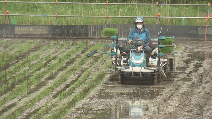 避難指示解除後初の田植え　除染土再利用し試験栽培　飯舘村長泥地区　福島|TBS NEWS DIG