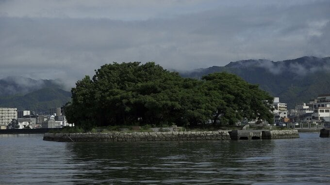 自由民権運動150年 板垣退助も愛した丸山台で『土佐流宴』開催へ清掃活動【高知】|TBS NEWS DIG