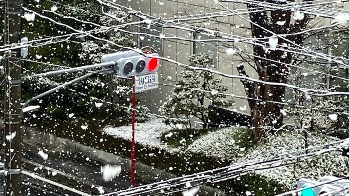 【大雪情報】19日昼前にかけ大雪　盆地で７cm、東部・富士五湖10cmの予想降雪（20日6時までの24時間）【大雪と雨のシミュレーション】　山梨|TBS NEWS DIG