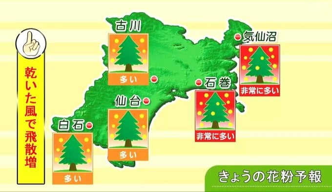 【13日宮城の天気】午後から雲広がるも雨雪なし　しばらく寒の戻りなし　花粉の飛散ピークと空気の乾燥に注意　tbc気象台|TBS NEWS DIG