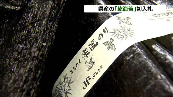 乾ノリの初入札で100枚当たり平均2600円『去年に比べ805円高く』取引　ノリの品薄続き高値で取り引き　宮城・塩釜市　|　宮城のニュース│tbc NEWS│tbc東北放送