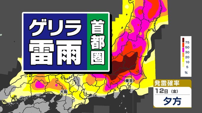 【東京首都圏 ゲリラ雷雨】天気の急変　雷雨に注意　寒気南下「傘を必ず」【雨シミュレーション ／ 週間予報】東京・神奈川・埼玉・千葉・群馬・栃木・茨城・山梨・長野|TBS NEWS DIG