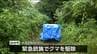 クマ1頭を駆除　仙台市内で緊急銃猟　今月に入り周辺で目撃相次ぐ　宮城野区原町　|　宮城のニュース│tbc NEWS│tbc東北放送