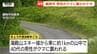 タケノコ取り中にクマが腰をガブリ...鶴岡市で40代男性がケガ　クマの親子を発見→向かってきた子グマに襲われる（山形・鶴岡市）　　|　山形のニュース│TUYテレビユー山形