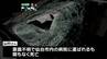 横断歩道のない市道で79歳の男性はねられ死亡　仙台空港近く　宮城・名取市　|　宮城のニュース│tbc NEWS│tbc東北放送