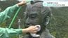 「ますます男前になって」“環境月間”に合わせ武市半平太像をピカピカに清掃　|　高知のニュース・天気｜KUTV NEWS | KUTVテレビ高知