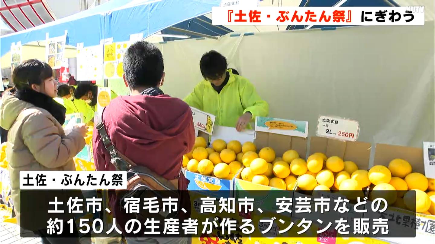 スーツケースはブンタンだらけ」土佐文旦をPRする土佐・ぶんたん祭