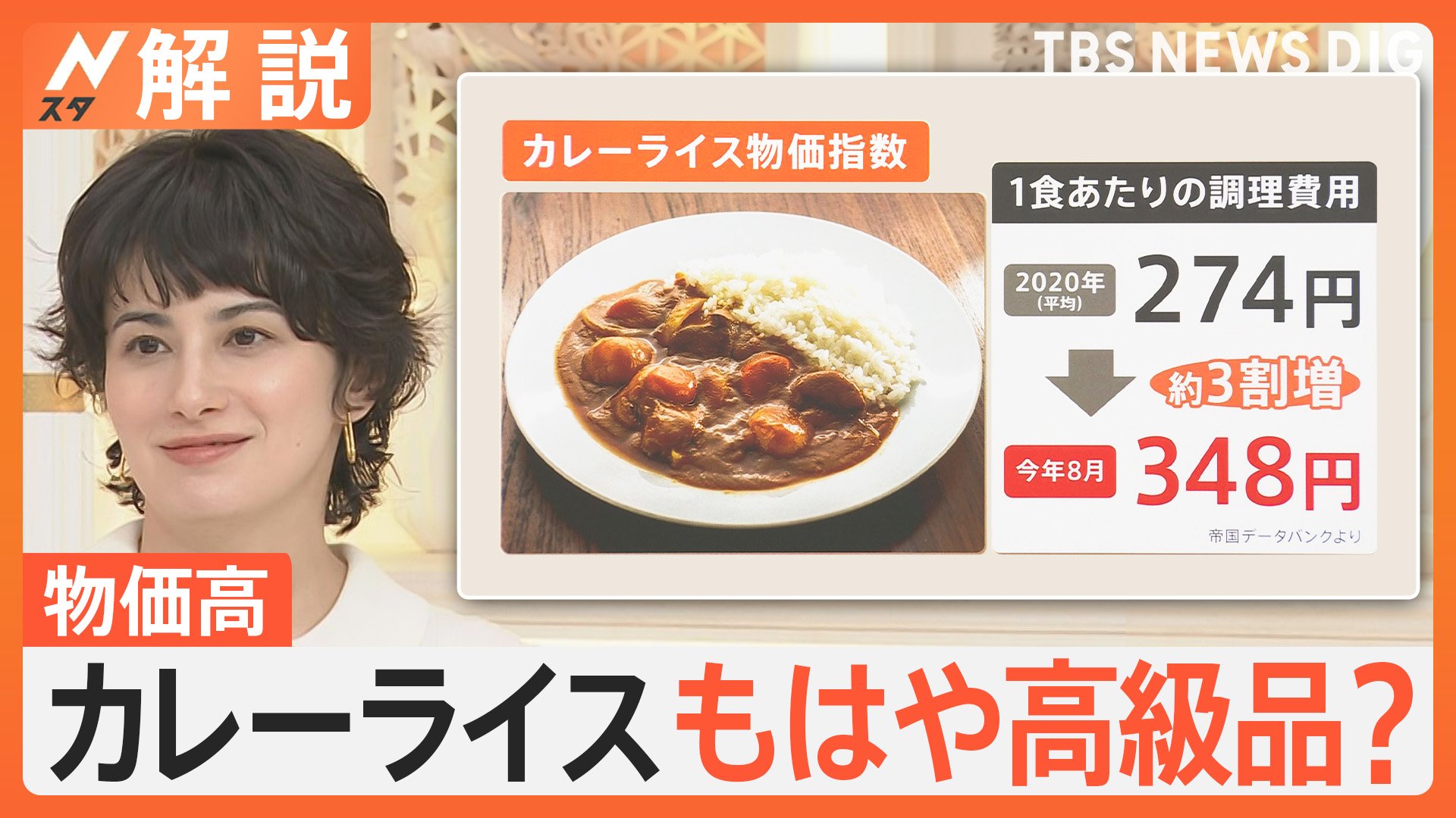 止まらない物価高…カレーライスもはや高級品？ 1食あたりの調理費用274
