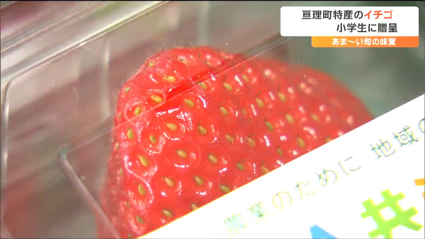 市町村でみると東北で一番イチゴの生産量が多い町とは」あまーい旬の