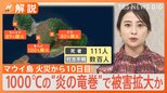 1000℃の“炎の竜巻”が襲う「火災旋風」で被害拡大か、ハワイ山火事で111人死亡【Nスタ解説】|TBS NEWS DIG