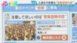 「夏イベント」での“密集型熱中症”に注意 楽しい思い出を残すための対策は?【ひるおび】|TBS NEWS DIG