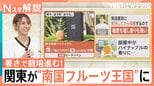 “群馬産バナナ”に“栃木産パイナップル”!関東で「南国フルーツ」続々栽培のワケ【Nスタ解説】|TBS NEWS DIG