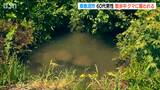 「血がだいぶ出ていた」自宅周辺で散歩中の男性がクマに襲われる 懐中電灯で抵抗しクマは池に 新潟・南魚沼市 |TBS NEWS DIG
