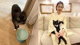 【ねこ】藤あや子さん “異世界の生物撮れた” 　愛猫・マルの “ねこドリル” にフォロワー反応して画像投げ合い|TBS NEWS DIG