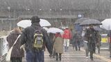 首都圏の大雪 大分と羽田を結ぶ2便が欠航(5日午後5時時点)23区の一部には大雪警報 6日も影響か | 大分のニュース|OBS NEWS|大分放送