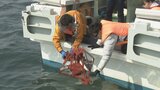 海底地すべりの実態解明へ…岩石などを採取・分析 富山大などの研究チーム 富山 | 富山のニュース|天気・防災|チューリップテレビ