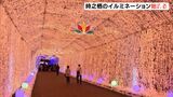 光のトンネルやリーフツリーが登場 御殿場高原時之栖でイルミネーションの点灯式(静岡県) |TBS NEWS DIG