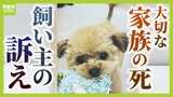 「自分の子と同じくらい、それ以上の愛情を注いでいた。家族と思ってくれる判決を」動物病院で外科手術後に愛犬が衰弱し死ぬ…  飼い主側が院長を提訴「重篤な病態を漫然と見過ごした」　ペットは“物”ではないと訴え|TBS NEWS DIG