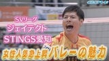 新しい“推し活” 7割以上が女性ファン「見たくて会いたくて」“熱烈応援”も バレーボールSVリーグ ジェイテクトSTINGS愛知 | 名古屋・愛知・岐阜・三重のニュース【CBC news】 | CBC web