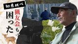 墓の“お供え物の花”ちぎられる被害　カメラマンが泊まり込み取材…犯人は鹿でした|TBS NEWS DIG