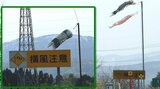 風速10メートルでハンドル取られることも…「鯉のぼり」元気に泳いでいたら “要注意” 高速道路の吹き流し | 富山のニュース|天気・防災|チューリップテレビ