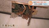 「メリメリ!バリバリ!」大雨で倒れた木が台所の天井に… 石川・能登地方で地滑り・倒木・浸水相次ぐ|TBS NEWS DIG
