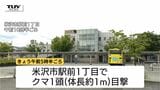 JR米沢市駅前など市内中心部でクマの目撃相次ぐ 警察・市が注意呼びかけ 人・物への被害は確認されず(山形・米沢市) | 山形のニュース│TUYテレビユー山形
